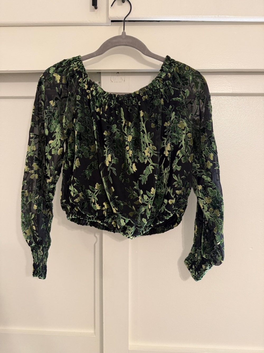 Anthropologie Green Floral Velvet Peasant Blouse - Women